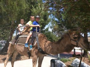 camel ride2