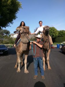 camel rides 4