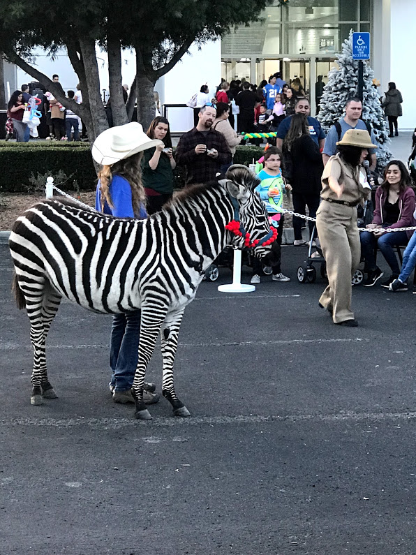 zebra presentation