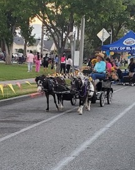 Wagon Ride