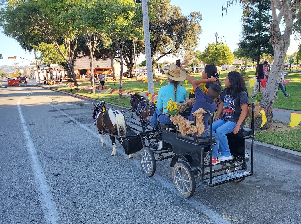 Pancho & Lefty Wagonette