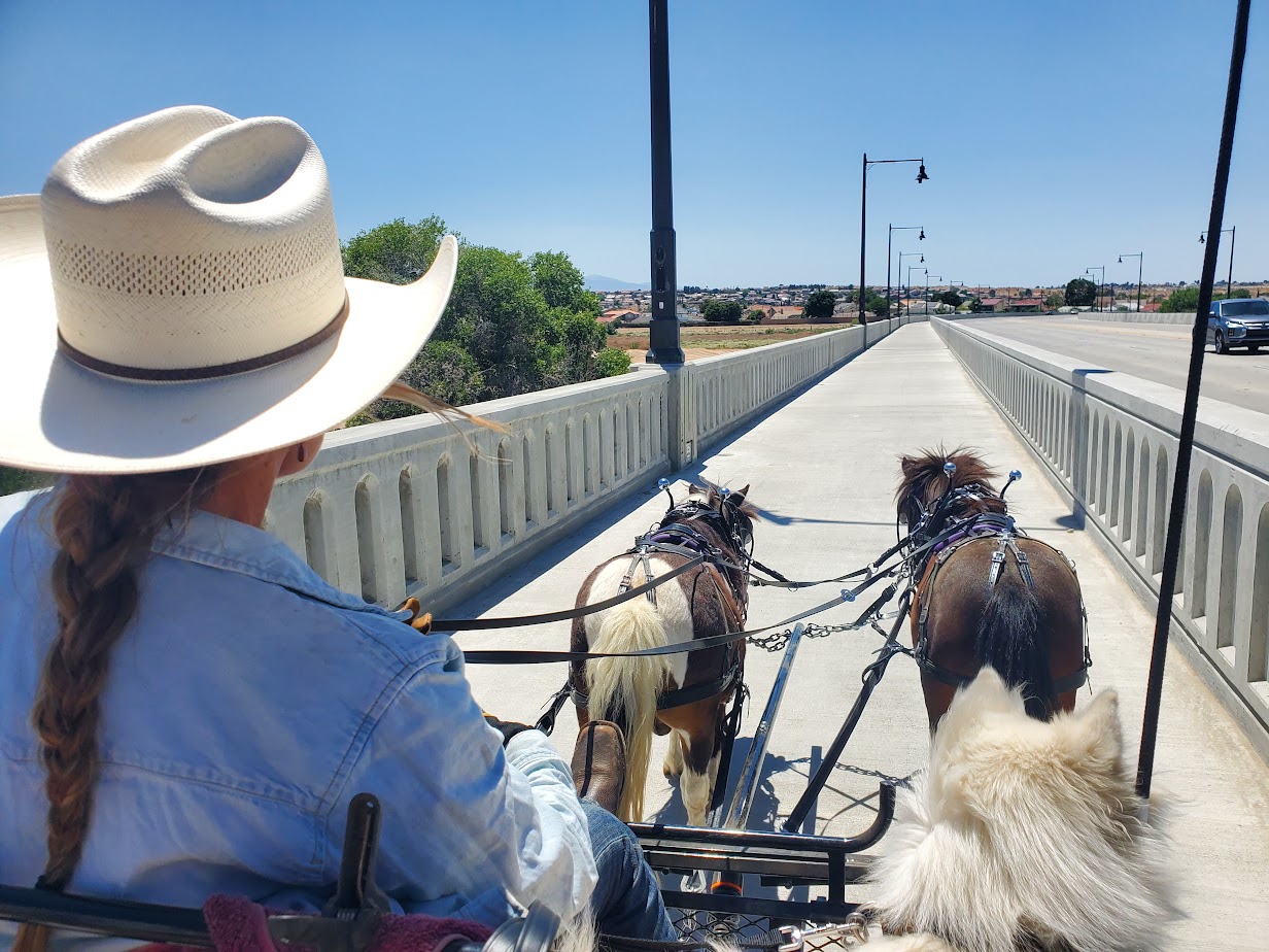 Wagonette on Yucca Loma Bridge