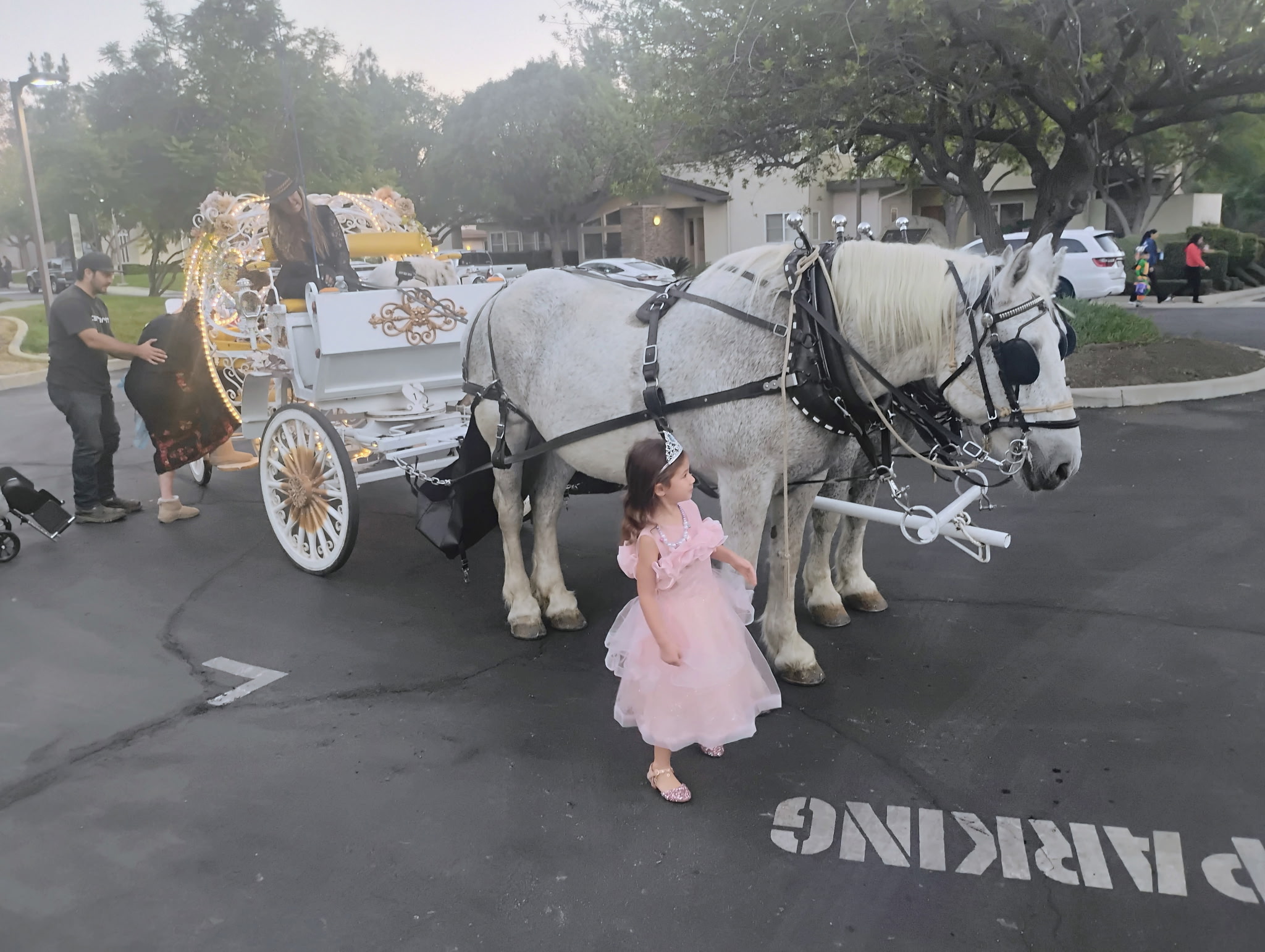 Cinderella Carriage