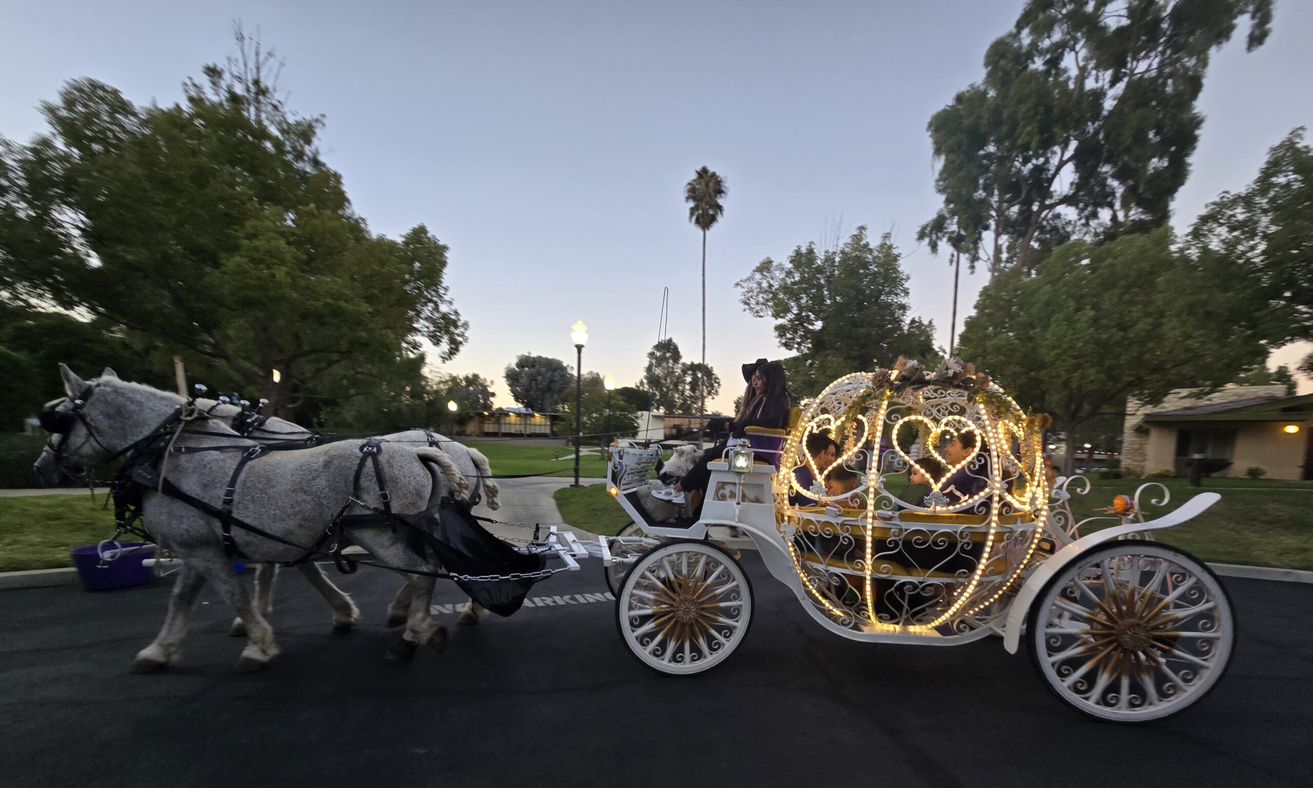 Cinderella carriage